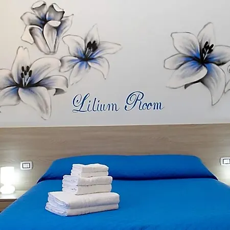 Flower's House Bed & Breakfast 4*