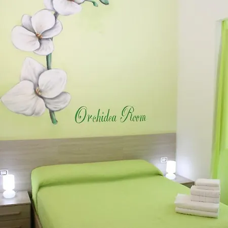 Flower's House 4*