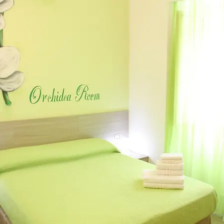 Flower's House Bed & Breakfast